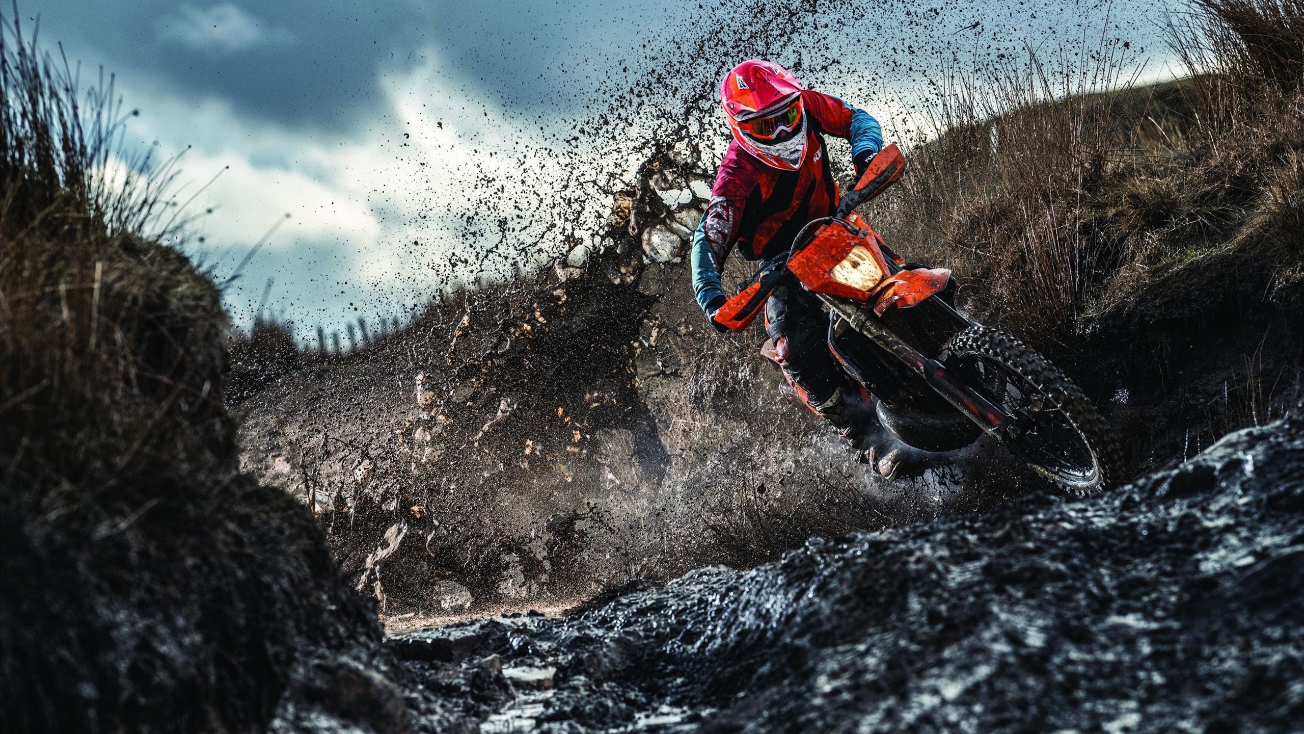 校园体育活动组织效率提升策略，学校体育活动组织与安排